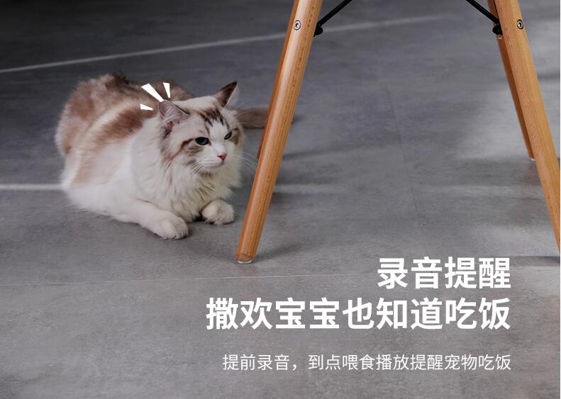 語(yǔ)音芯片